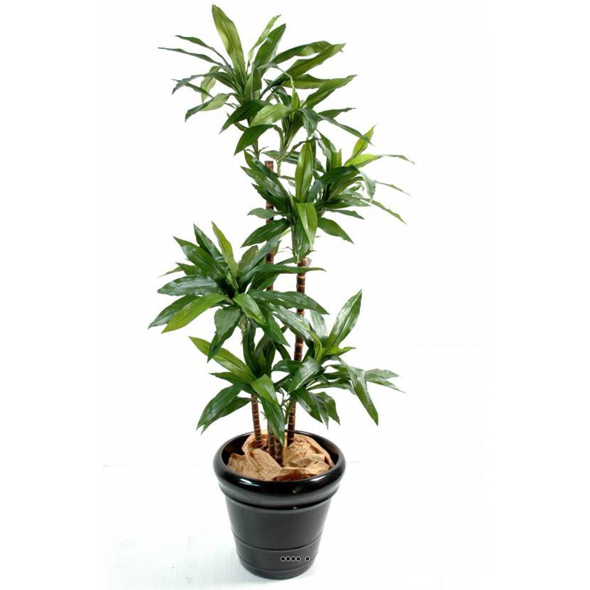 Artificielles - Dracaena artificiel 3 troncs en bois naturel en pot H 95 cm Vert - dimhaut: H 95 cm - couleur: Vert