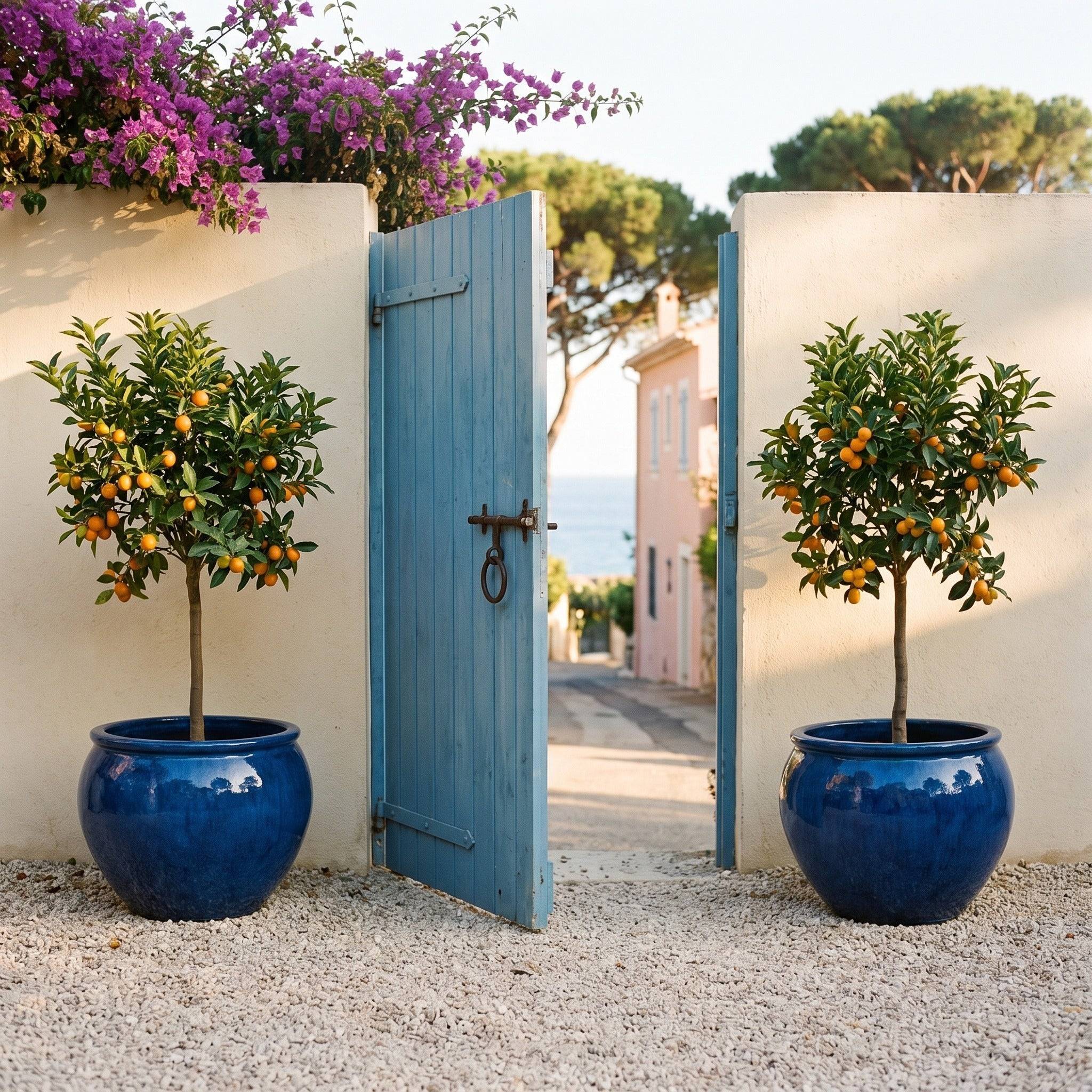 Provencelia - Pot LUTECE 53x43cm bleu caraîbes - Image 6