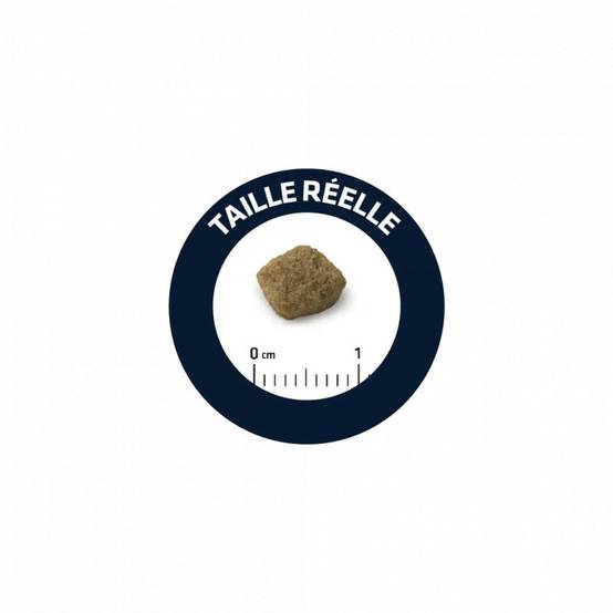 CROQUETTES CHIEN LIGHT MINI - ADVANCE 3 kg - Image 2