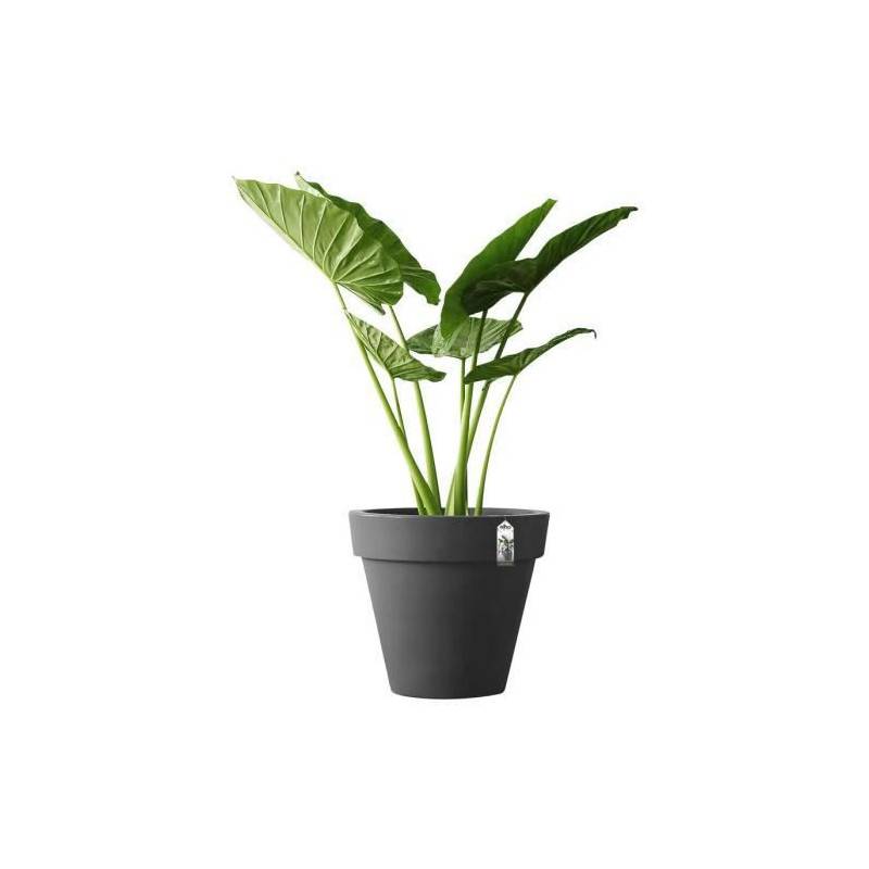 Elho - Pure Round 40 Anthracite - Image 2