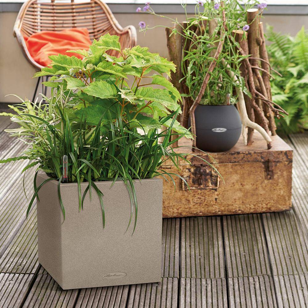 Lechuza - Pot Canto Color 30, beige sable 3 L 30 cm Lechuza - Imagen 4