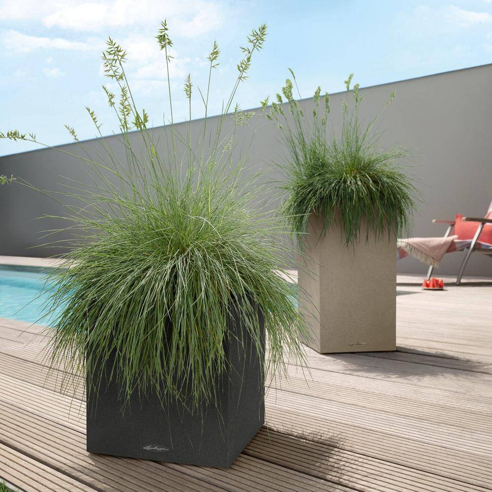 Lechuza - Pot Canto Color 30, beige sable 3 L 30 cm Lechuza - Imagen 3