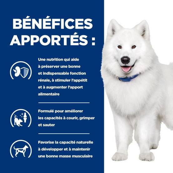 CROQUETTES CHIEN ADULT PRESCRIPTION DIETS K/D KIDNEY + MOBILITY - HILL'S 12 kg - Image 4
