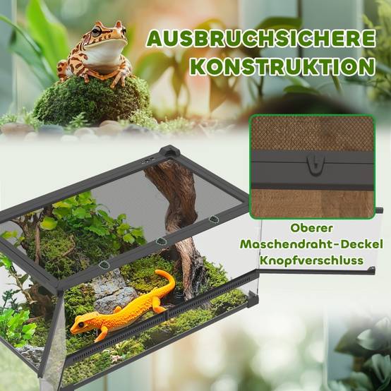Terrarium en verre pour reptiles, base surélevée et étanche, serrure à bouton, 50 x 30 x 25 cm - PANGIVO - Image 5