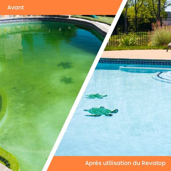 Algicide MAREVA REVATOP 12 % - 5 L - 000124U - Image 3