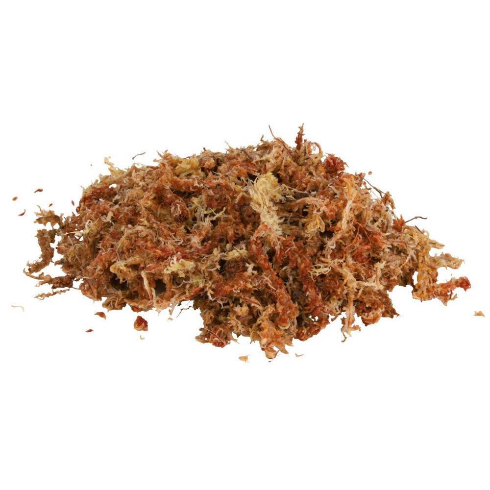 Trixie - Sphaigne mousse de shagnum 100 g 4.5 Litres reptile - Imagen 4