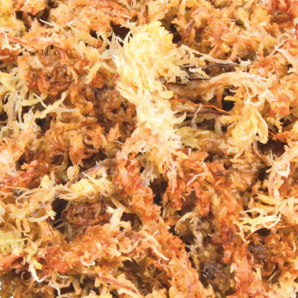 Trixie - Sphaigne mousse de shagnum 100 g 4.5 Litres reptile - Image 2