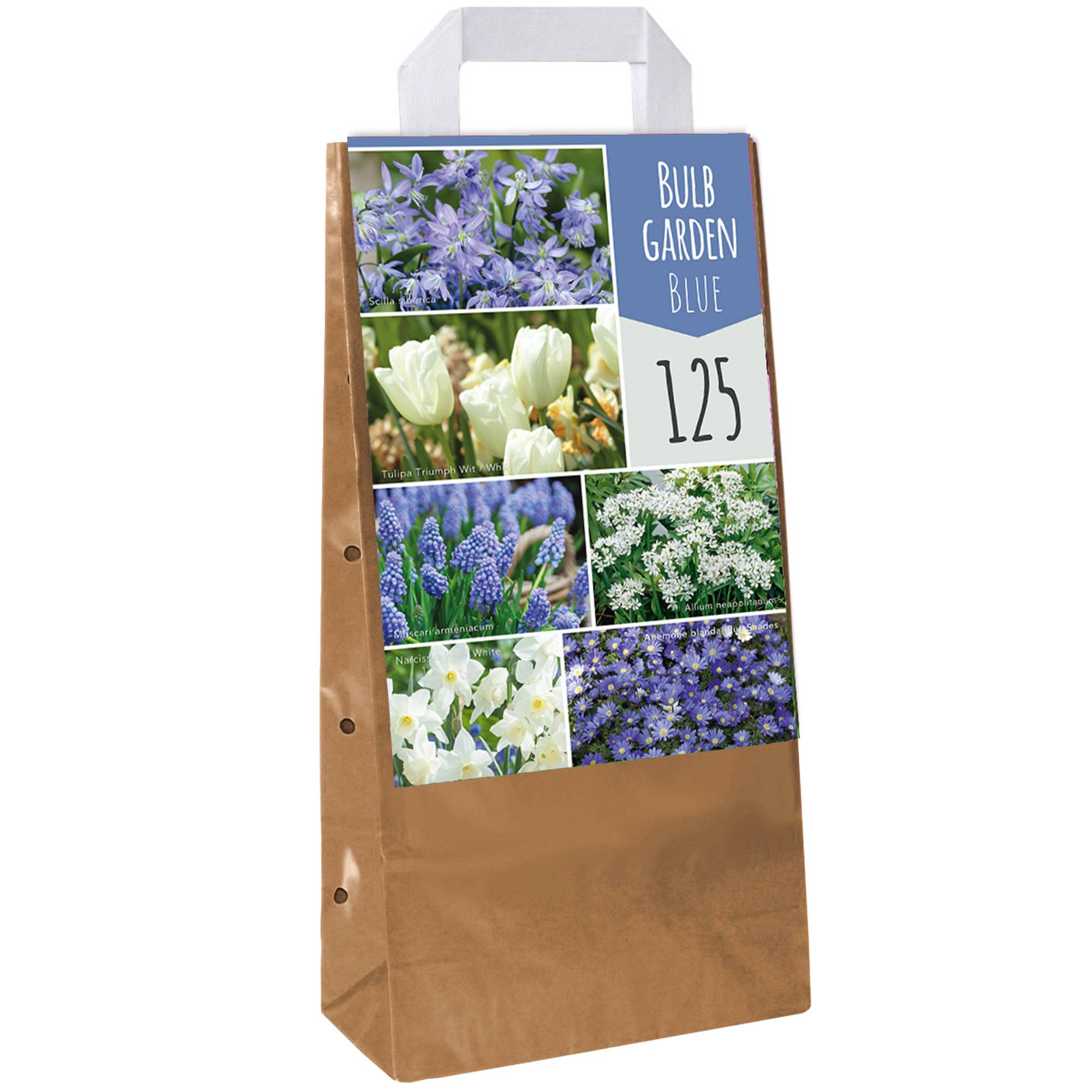 Gardenersdream - Jardin de Bulbes Bleu - Tulipe Muscari Anémone Scille Narcisse Allium Bulbes à Fleurs (125 Bulbes) - Imagen 1