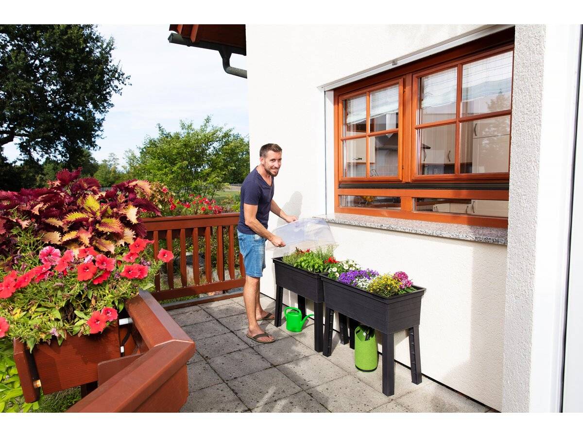 Habitat Et Jardin - Kit De 3 Carrés Potagers "urban" Sur Pieds Avec Serre - 75 X 37 X 65 Cm -habitat Et Jardin - Image 1