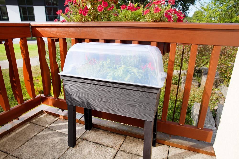 Habitat Et Jardin - Kit De 3 Carrés Potagers "urban" Sur Pieds Avec Serre - 75 X 37 X 65 Cm -habitat Et Jardin - Image 3