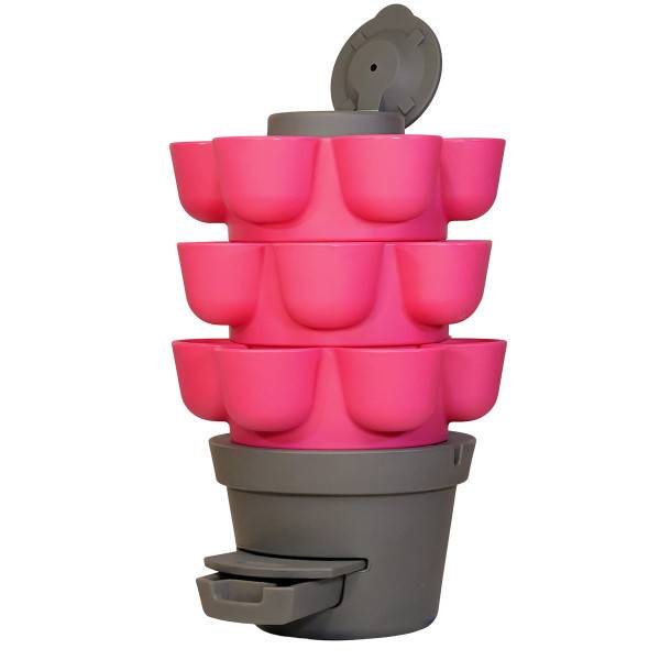 WORMgarden Fuchsia 3 jardinières + 500gr de Vers - Image 3
