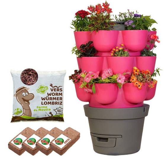 WORMgarden Fuchsia 3 jardinières + 500gr de Vers - Image 1