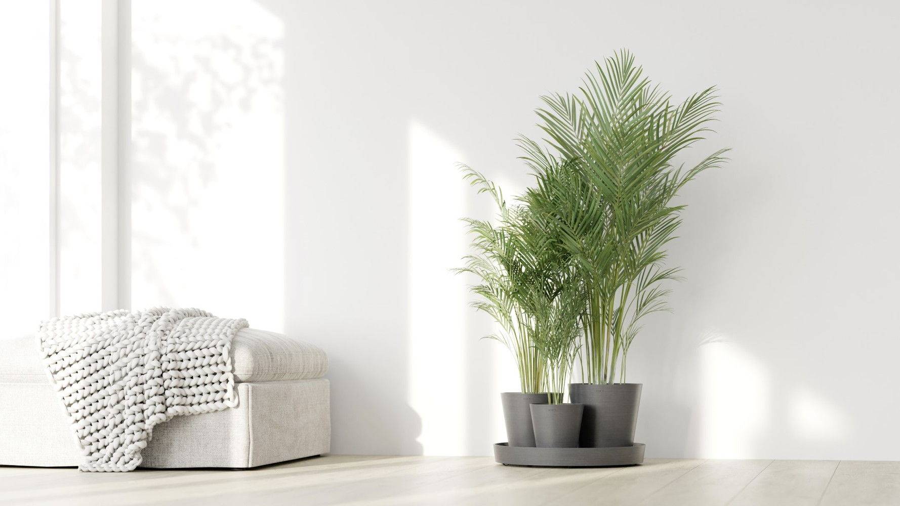 Ecopots - Ensemble de 3 pots Dubai Gris - Ø 57 x H. 30 cm - support à roulettes ECOPOTS - Imagen 3