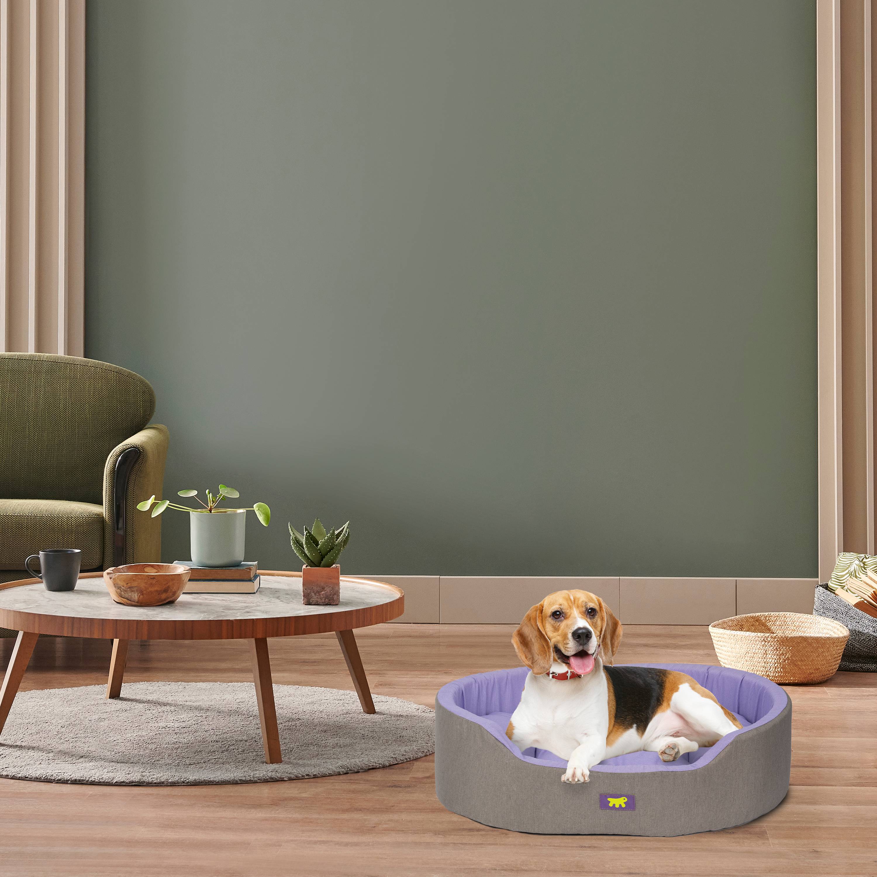 Ferplast - Ferplast Panier Chien Dandy, Coussin Amovible et Lavable, Housse en Coton avec Rembourrage Doux, Lit Chiens Moyen, 80 x 55 x H 18 cm, Lilas - Imagen 3