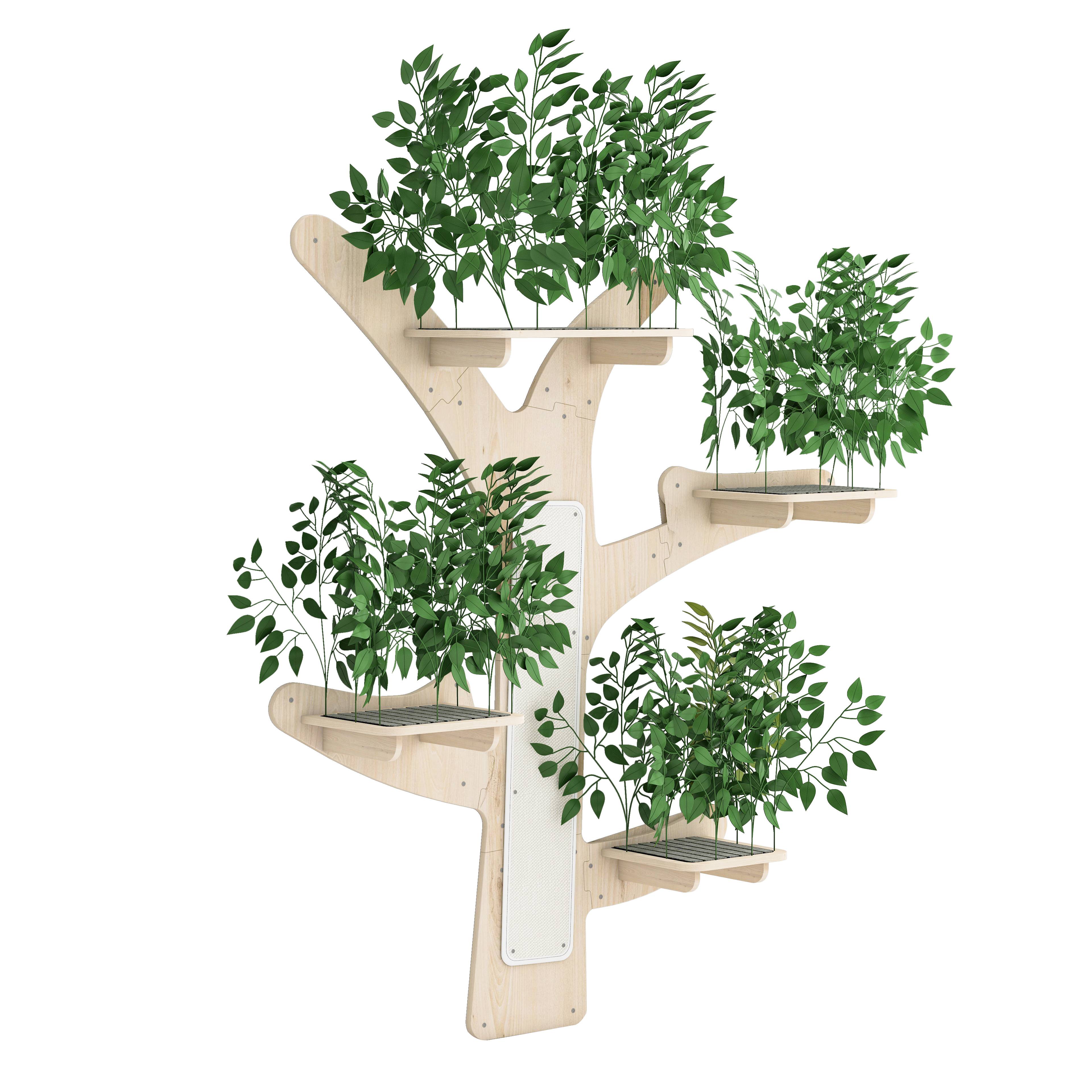 Arbre à Chat Mural en Forme d’Arbre, Design en Pin Massif avec Plateformes et Surfaces à Griffer, Mur d’Escalade Stable, 155 x 210 cm - Image 10
