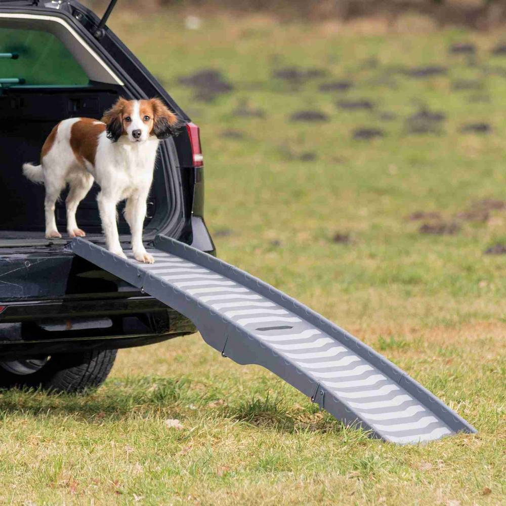 Animallparadise - Rampe pliable, pliable en 4 parties, en plastique/TPR. Taille 39 × 150 cm pour chien - Imagen 2