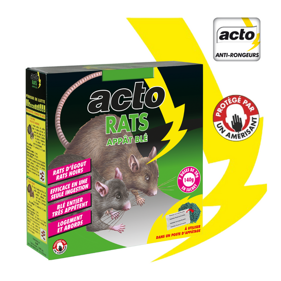 Acto - ACTO RATS Appât blé - 7 x 20 grs - Solution efficace contre rats noirs et rats d'égout. - Image 3