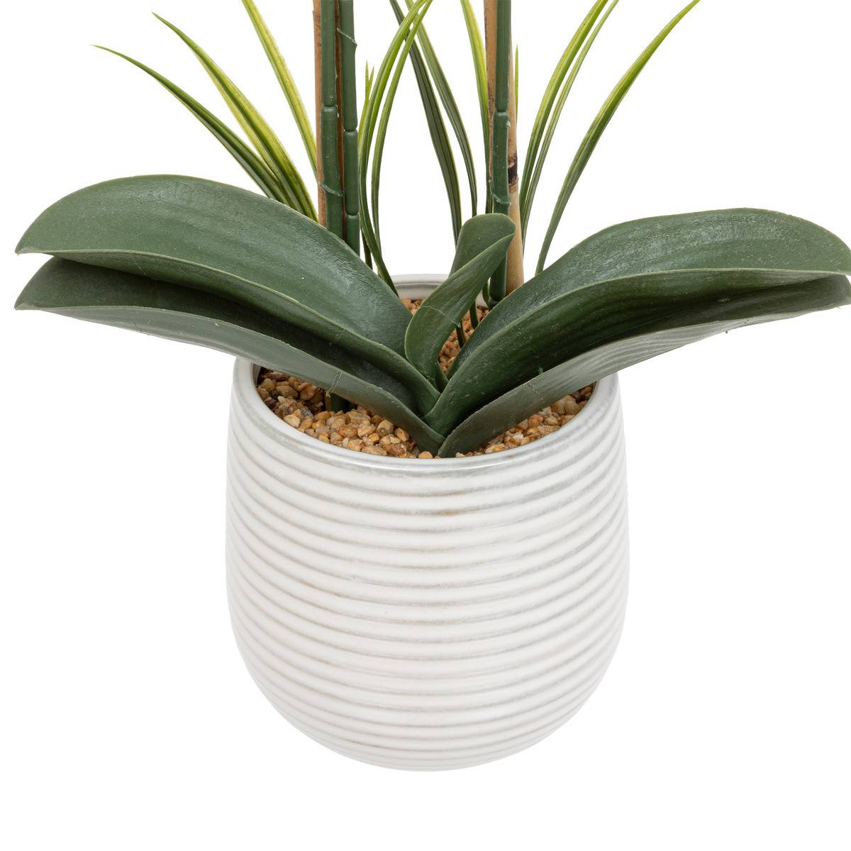 Plante artificielle Orchidée Blanche pot en céramique striée H 65 cm - Image 3