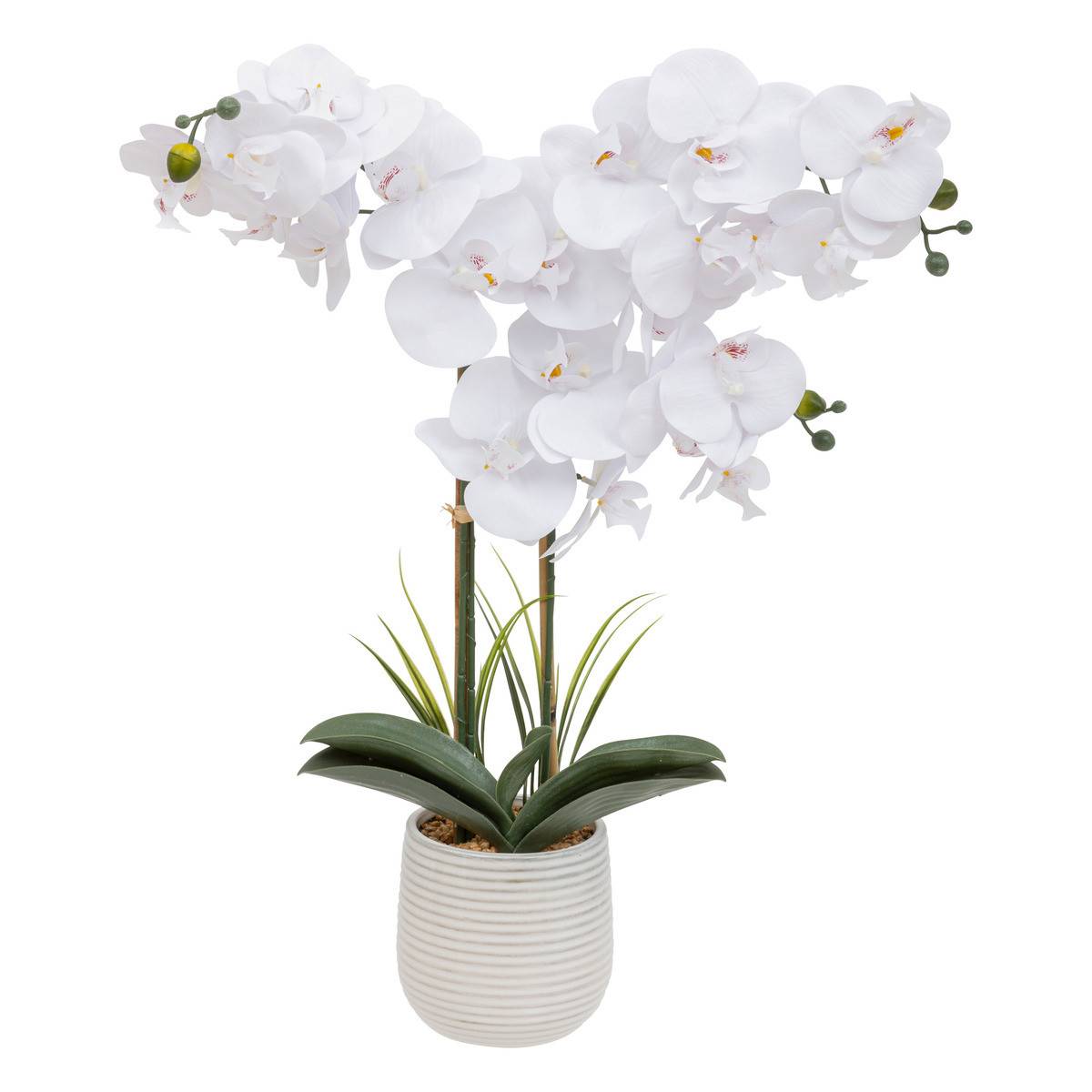 Plante artificielle Orchidée Blanche pot en céramique striée H 65 cm - Image 1