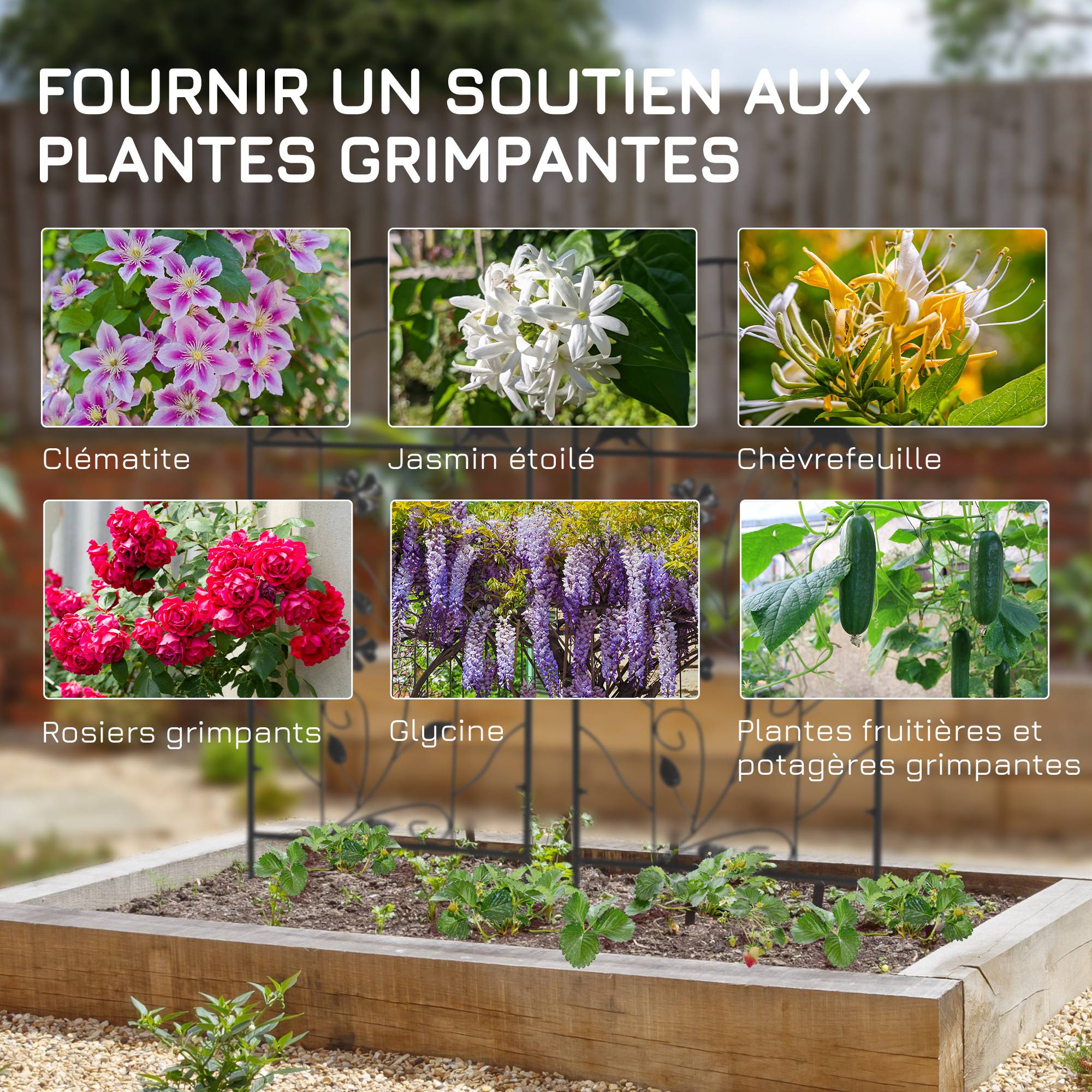 Treillis de jardin lot de 2 métal noir 38 x 0.8 x 98 cm - PANGIVO - Image 6