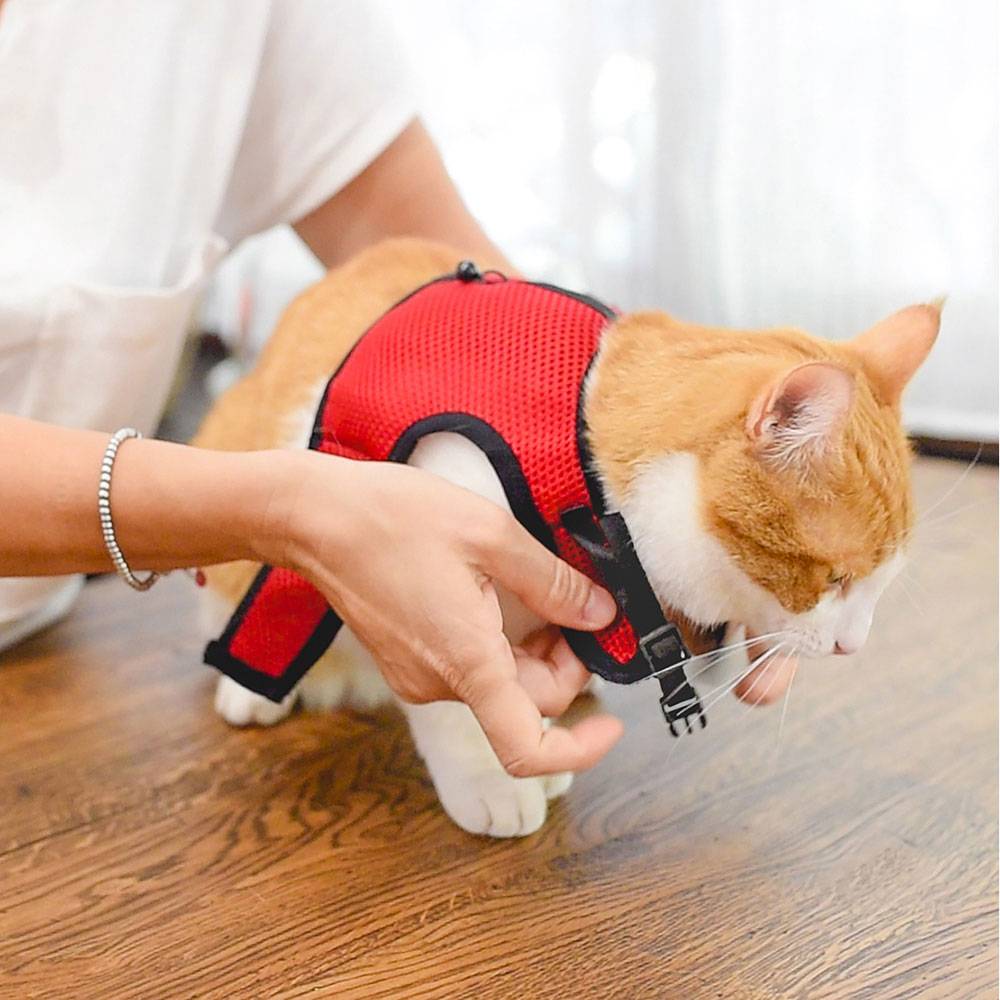 Ferplast - Arnés para Gatos JOGGING EXTRA GRANDE, en Malla Perforada, con Correa elástica - Imagen 6