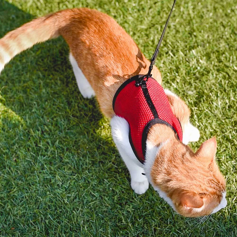 Ferplast - Harnais pour Chats JOGGING EXTRA LARGE, en Filet Perforé, avec Laisse élastiquée - Image 4
