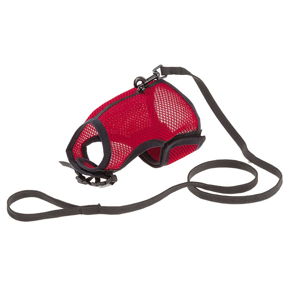 Ferplast - Harnais pour Chats JOGGING EXTRA LARGE, en Filet Perforé, avec Laisse élastiquée - Image 1