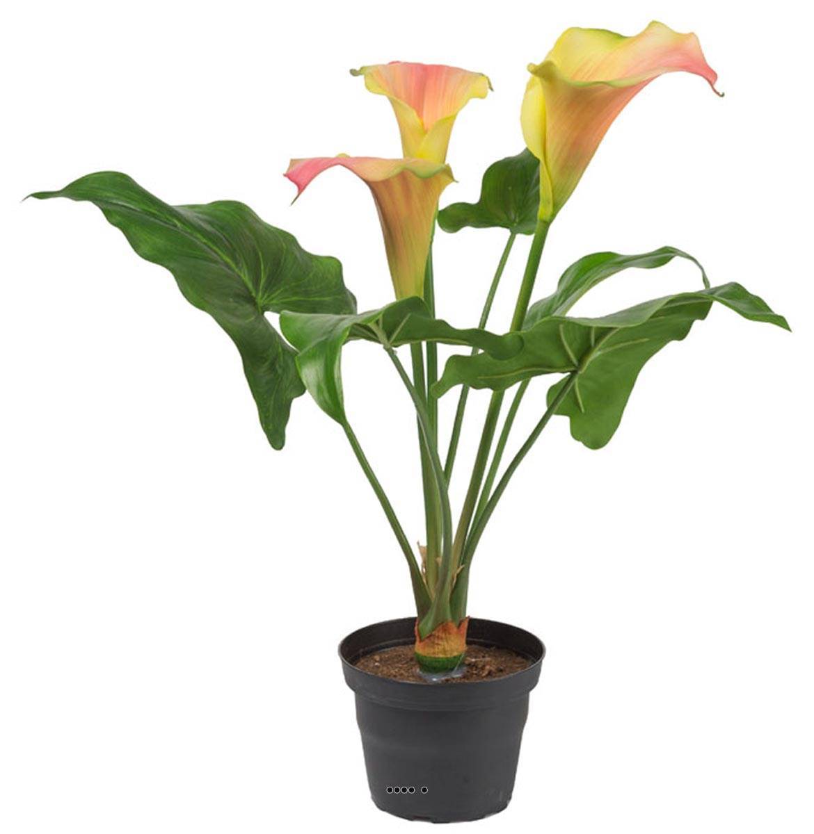 Artificielles - Arum calla artificiel en pot, 3 têtes de fleurs, H 40 cm Rose-orange - couleur: Rose-orange - Imagen 1