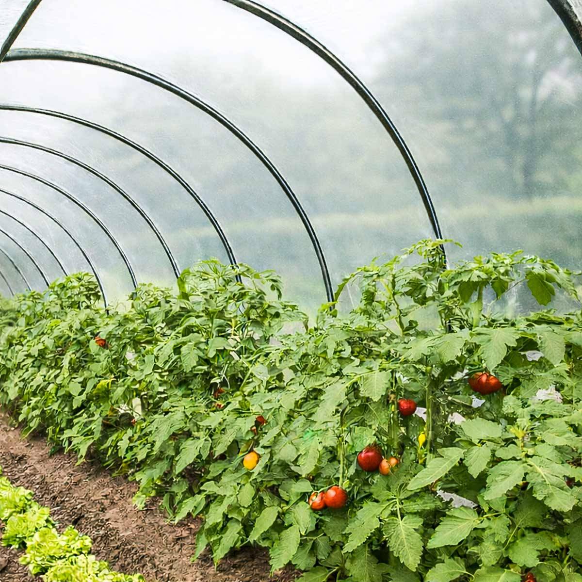 Bâche Serre 1,5x15 m 150SE - Film plastique transparent pour serre de jardin - Haute Qualité - Made in France TECPLAST - Image 1