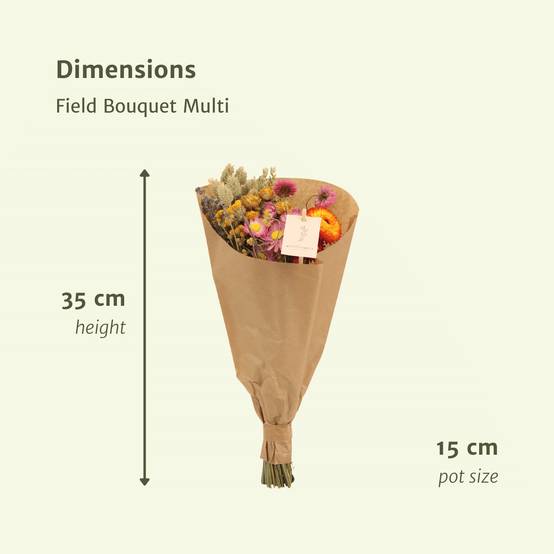 Bouquet de fleurs séchées des champs multicolore - Ø15cm - ↕35cm - Image 2