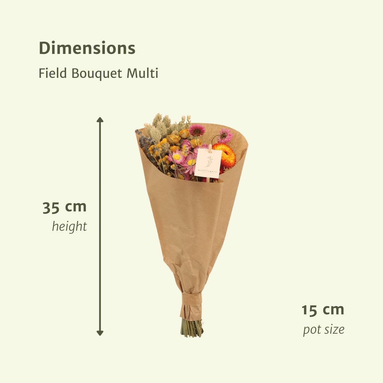 Bouquet de fleurs séchées des champs multicolore - Ø15cm - ↕35cm - Image 2