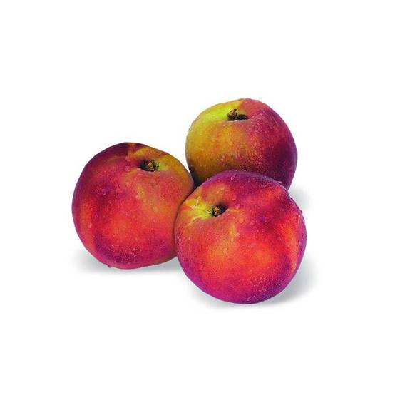 Nectarinier nain Nectarinette - Nains de jardins® - Bon rendement - Pot de 5L - 40/80 cm - De 1,50 m à 2,00 m - Image 1