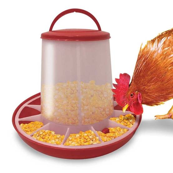 Mangeoire pour poules - Image 3