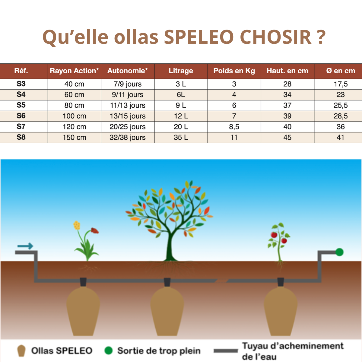 Ollas SPELEO - 6 L - Mes Courses En Vrac - Image 6