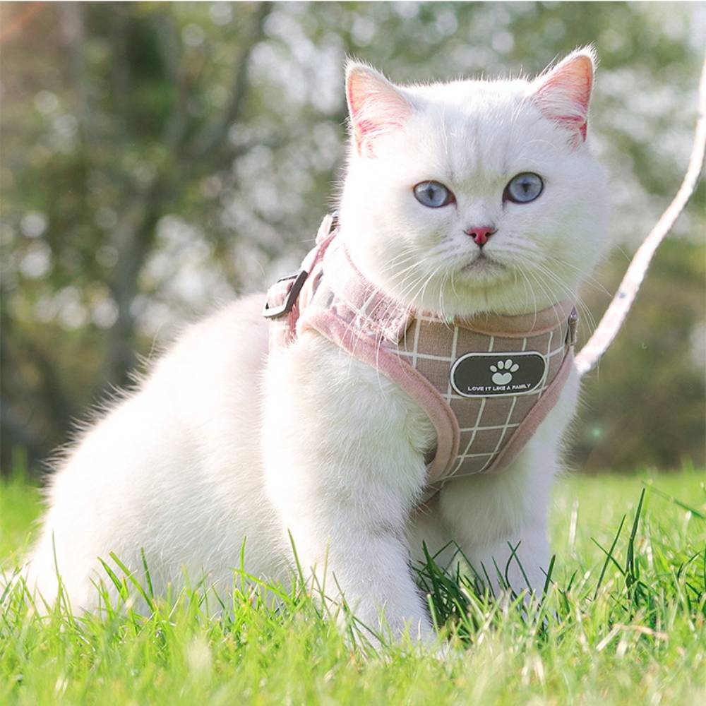 Harnais pour chat en maille souple m - IntiMeg - Image 5