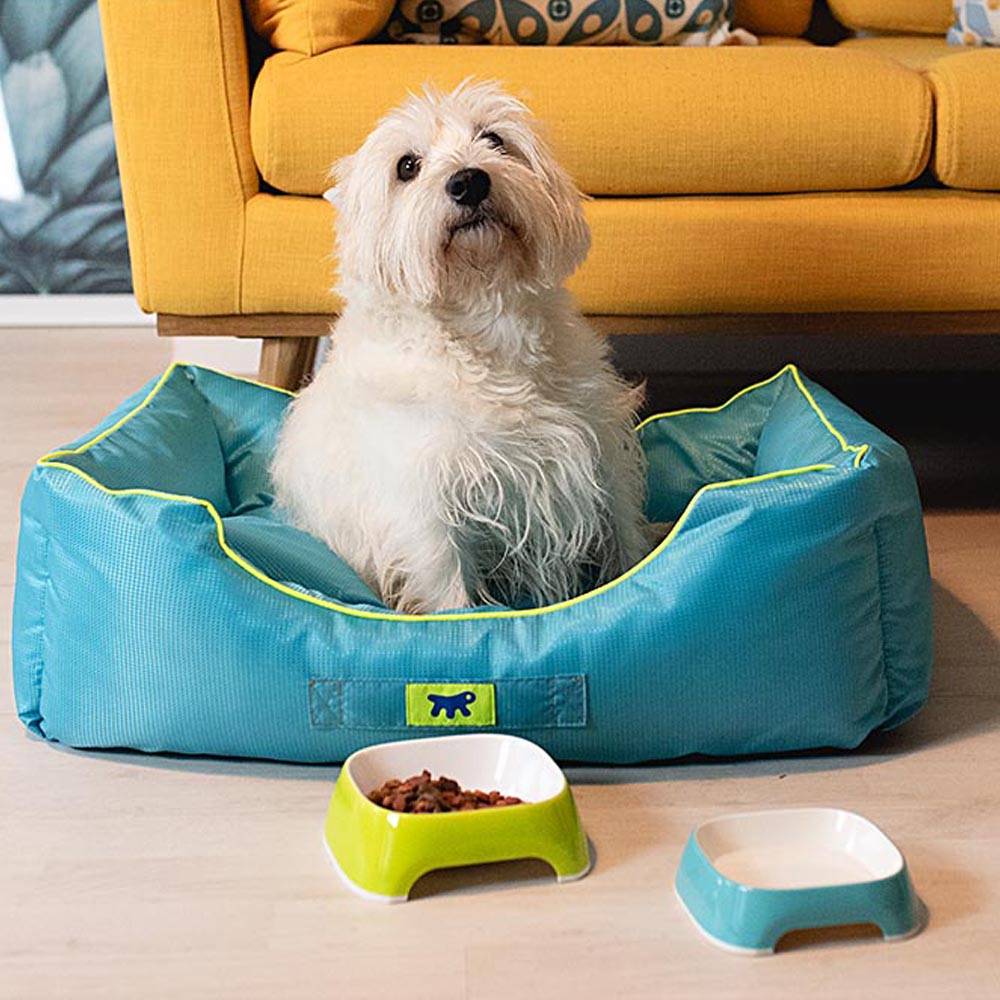 Ferplast - Ferplast Panier Chien Coussin Chien Moyen Taille Tissu anti-rayures Lavable en machine à 30°CMatelas pour chien imperméable 66 x 50 x 20 cm.Bleu - Imagen 3