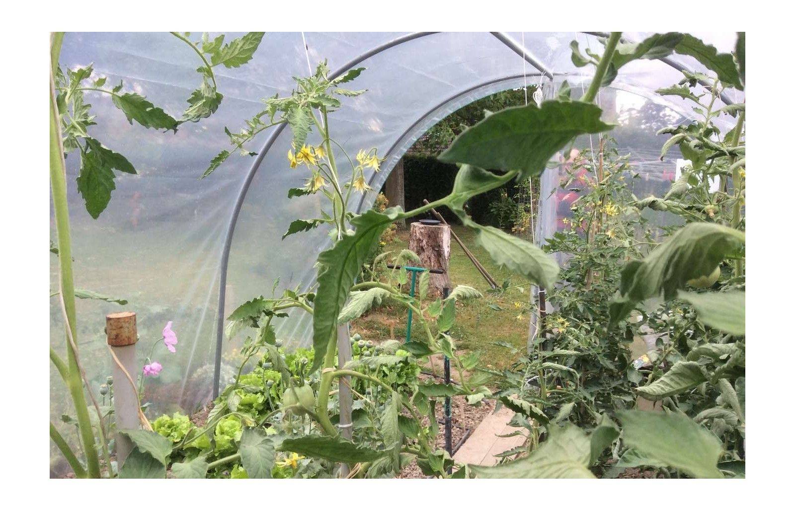 Serre tunnel de jardin - 9m² - 3 x 3 m - pieds arrondis - polyéthylène haute densité - 2 portes pivotantes - LES SERRES TONNEAU - Image 7