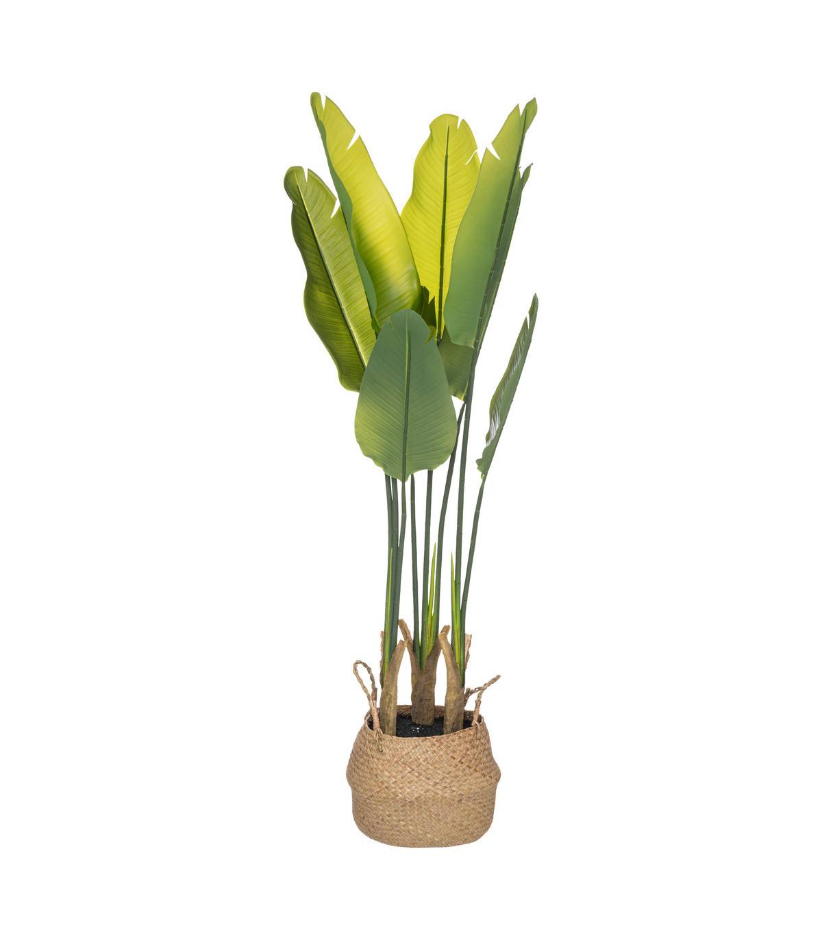 Plante artificielle Strelitzia en pot H 120 cm - Imagen 1