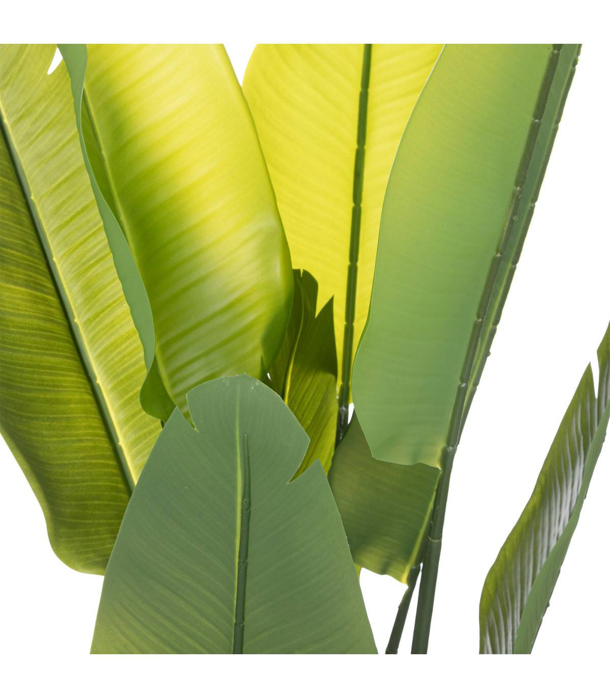 Plante artificielle Strelitzia en pot H 120 cm - Imagen 2