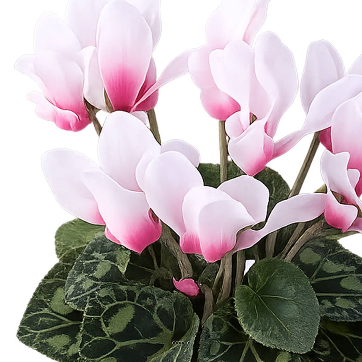 Cyclamen artificiel en pot H 20 cm D 15 cm qualité top Rose-crème - couleur: Rose-crème - Image 3