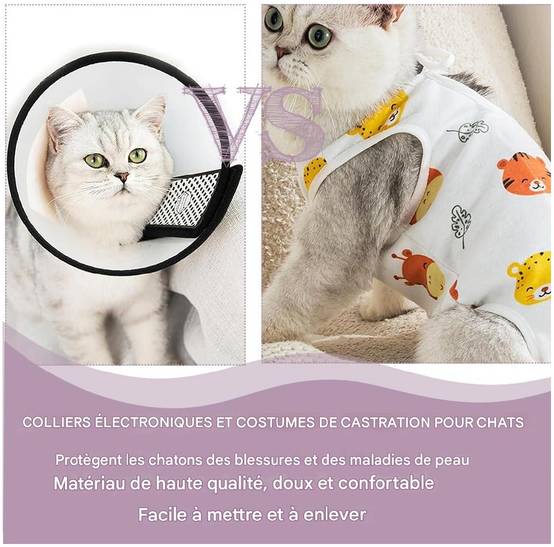 Combinaison médicale de convalescence pour chiens et chats - Lytech - Image 4