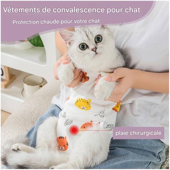 Combinaison médicale de convalescence pour chiens et chats - Lytech - Image 3