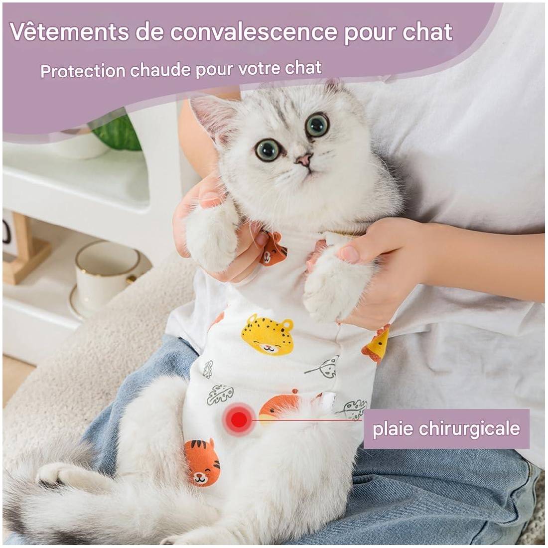 Combinaison médicale de convalescence pour chiens et chats - Lytech - Image 3