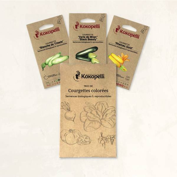 Courgettes Colorées - 3 sachets de graines bio à semer - Imagen 2