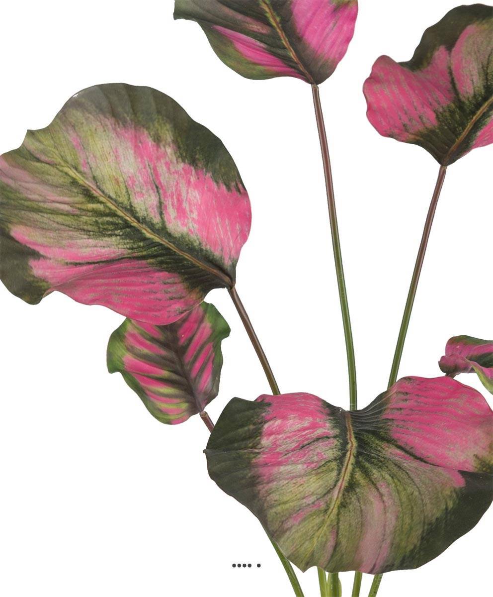 Artificielles - Calathea artificielle en pot, grandes feuilles, H 55 cm Vert-rose - couleur: Vert-rose - Imagen 3