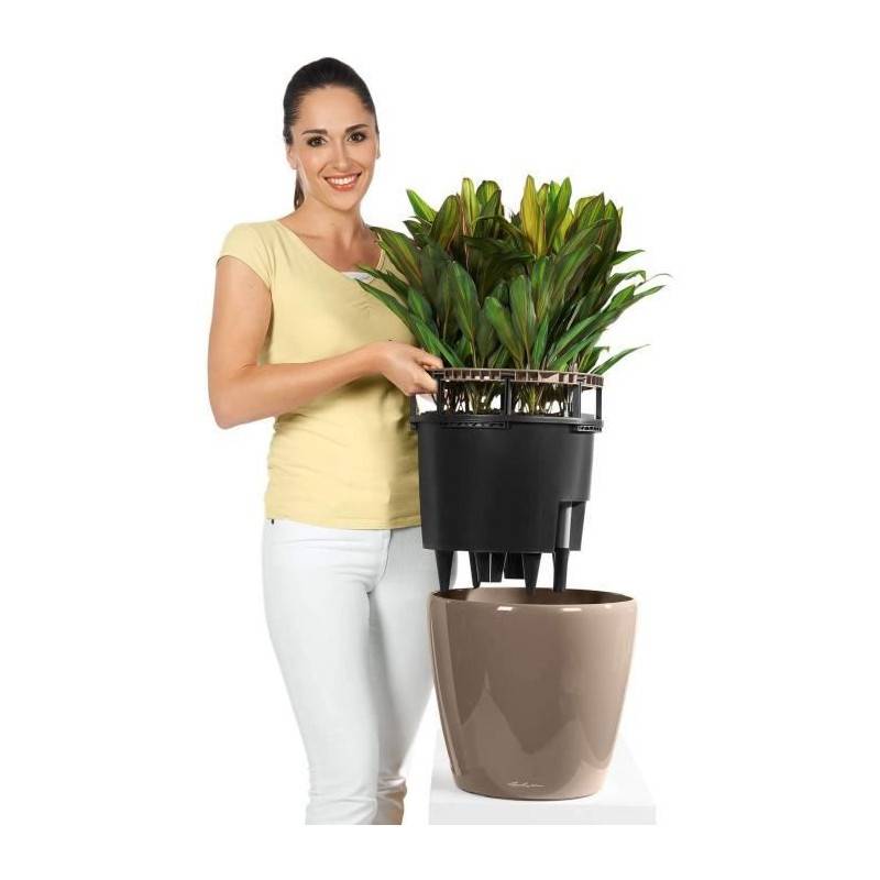Lechuza - Pot De Fleur Lechuza Classico Premium Ls 50 - Kit Complet, Rouge Scarlet Brillant - Imagen 5