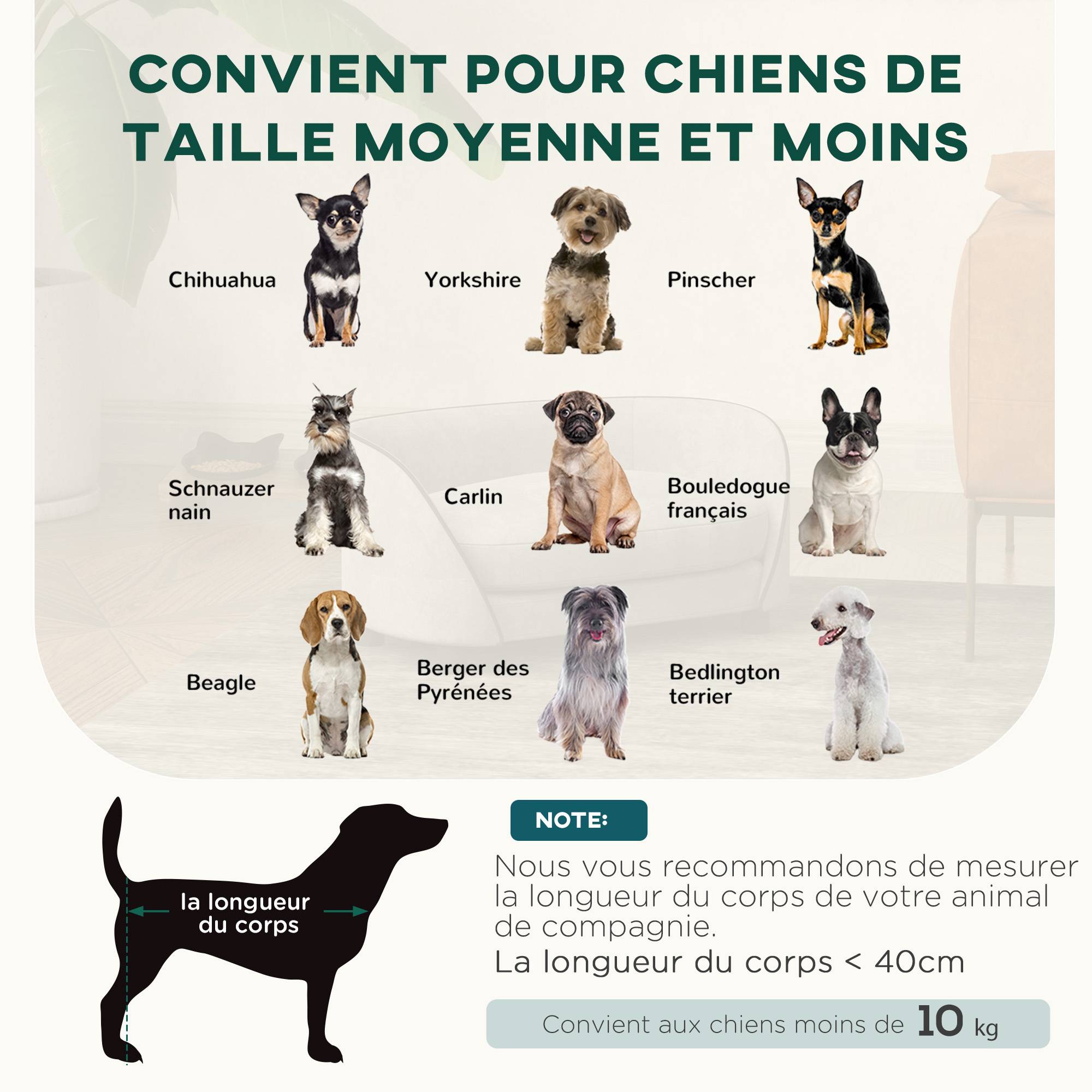 Canapé chien en velours pour petits animaux avec housse lavable 67x43x31cm gris - ComfortXL Outdoor Living - Image 6