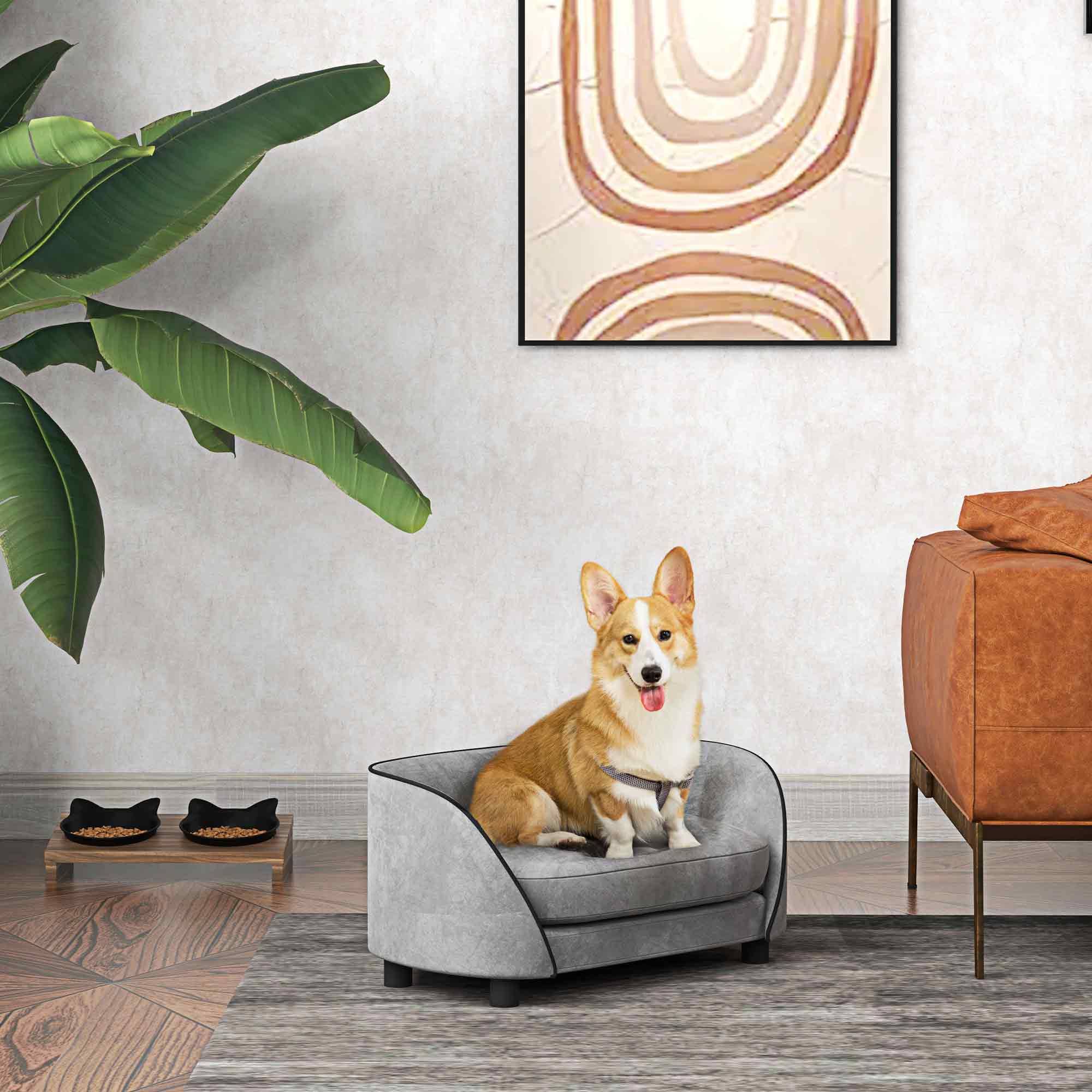 Canapé chien en velours pour petits animaux avec housse lavable 67x43x31cm gris - ComfortXL Outdoor Living - Image 3