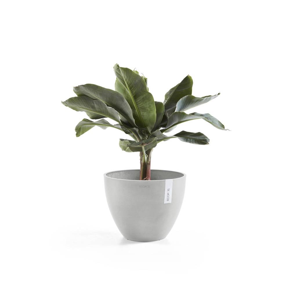 Ecopots - Pot Rond Antwerp 50 Old Blanc Gris - Ø 50 x H. 37,5 cm - 52 L ECOPOTS - Imagen 2