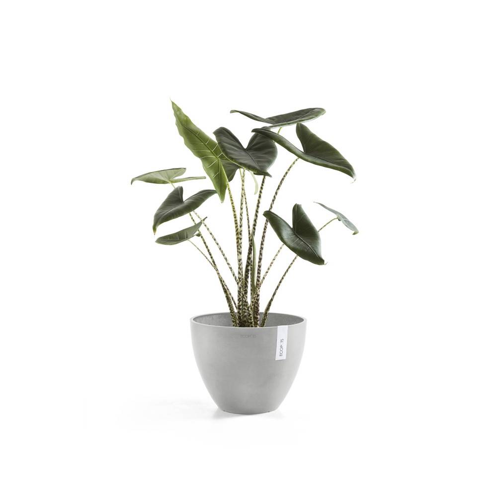 Ecopots - Pot Rond Antwerp 50 Old Blanc Gris - Ø 50 x H. 37,5 cm - 52 L ECOPOTS - Imagen 3
